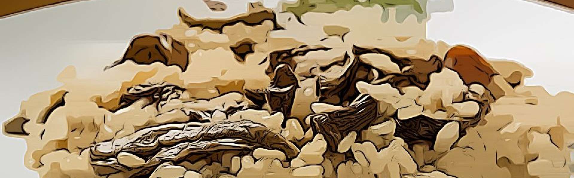 Fiera del Riso di Isola della Scala